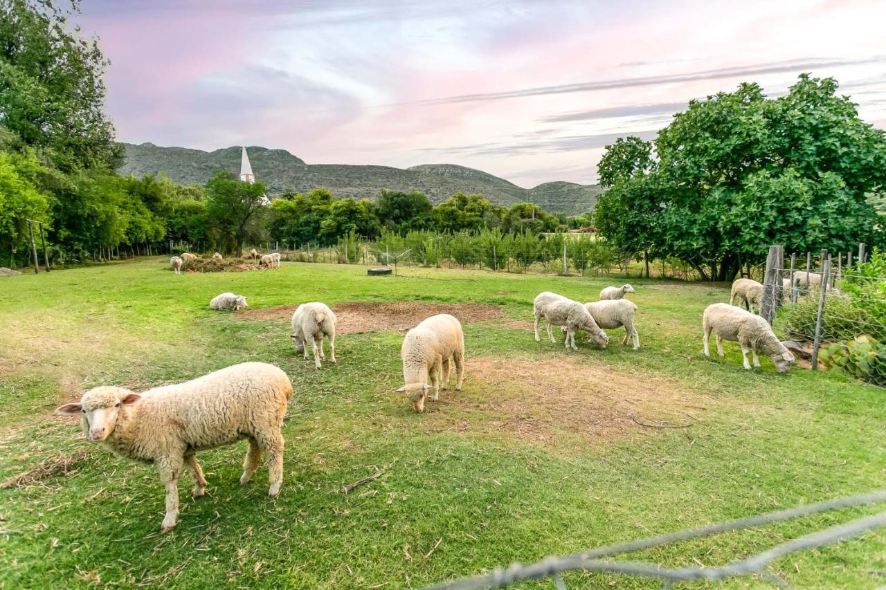אאודטסהורן Die Fonteine Country Guesthouse And Glamping מראה חיצוני תמונה