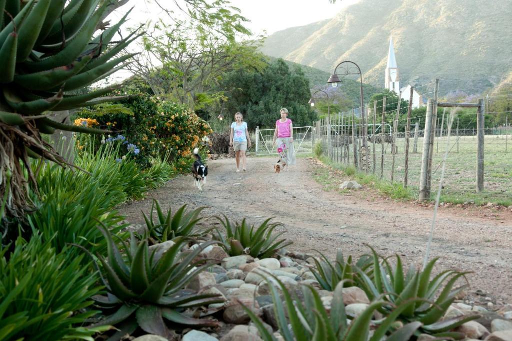 אאודטסהורן Die Fonteine Country Guesthouse And Glamping מראה חיצוני תמונה