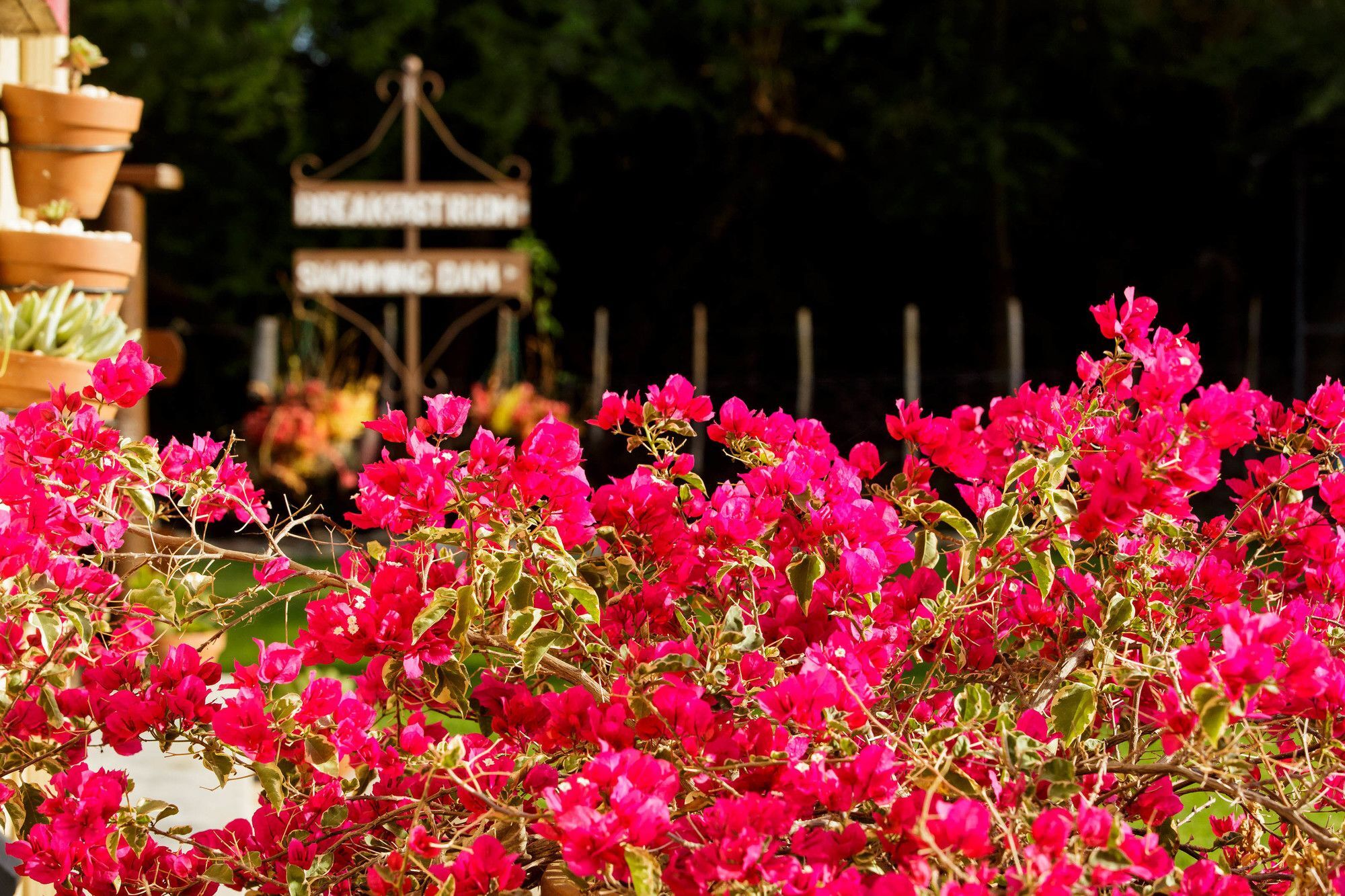 אאודטסהורן Die Fonteine Country Guesthouse And Glamping מראה חיצוני תמונה